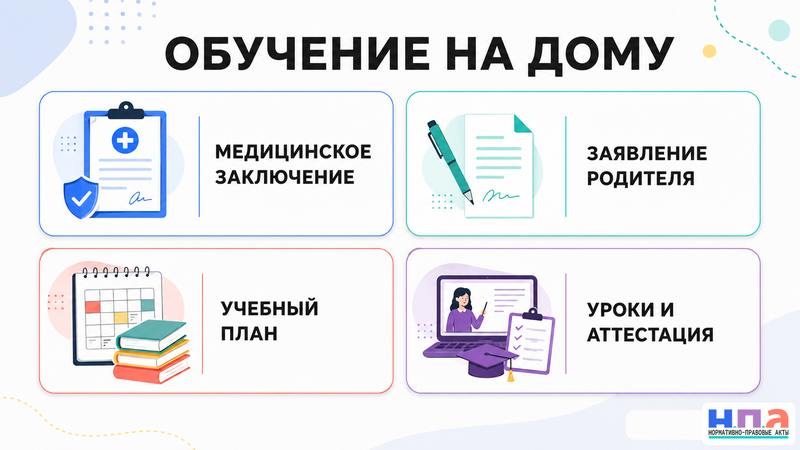 Что делать, если школа не организует обучение ребёнка на дому