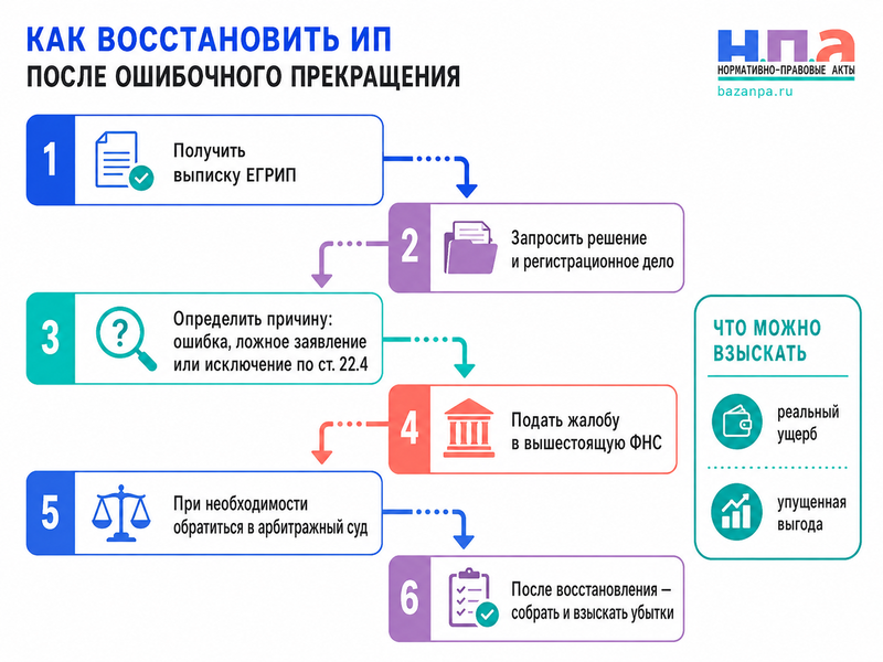 ФНС ошибочно прекратила статус действующего ИП: как восстановить запись в ЕГРИП и взыскать потери