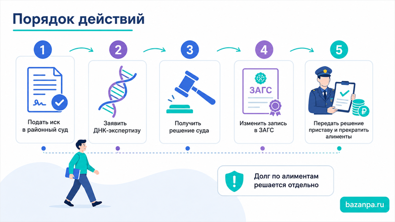 Оспаривание отцовства через суд ДНК-экспертиза, запись в ЗАГС и последствия для алиментов