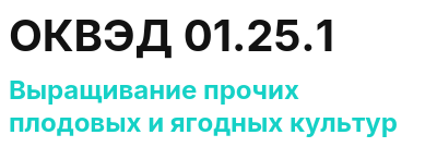 Код ОКВЭД 01