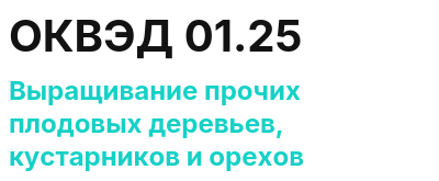 Код ОКВЭД 01