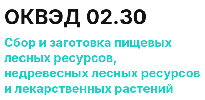 Код ОКВЭД 01